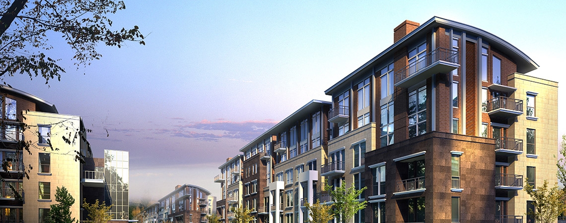 INTERDUM SUSCIPIT DUI